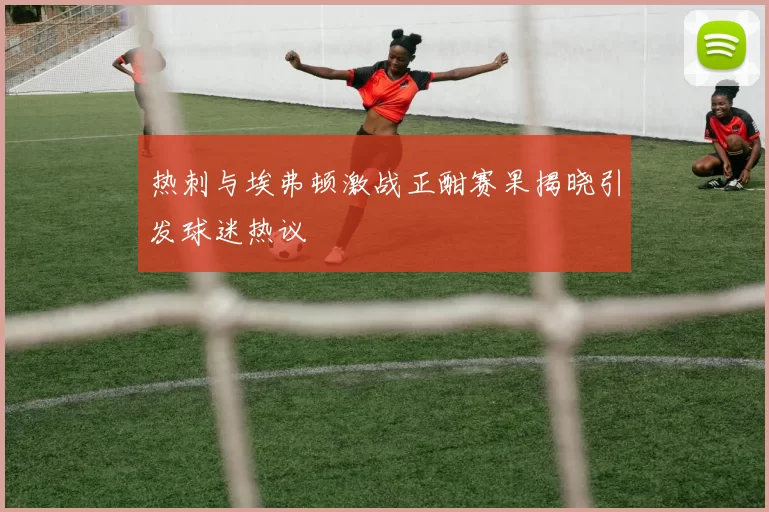 热刺与埃弗顿激战正酣赛果揭晓引发球迷热议