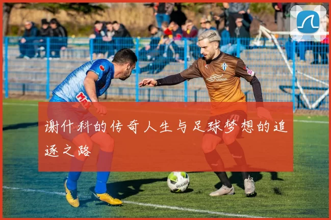 谢什科的传奇人生与足球梦想的追逐之路