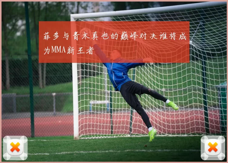 菲多与青木真也的巅峰对决谁将成为MMA新王者